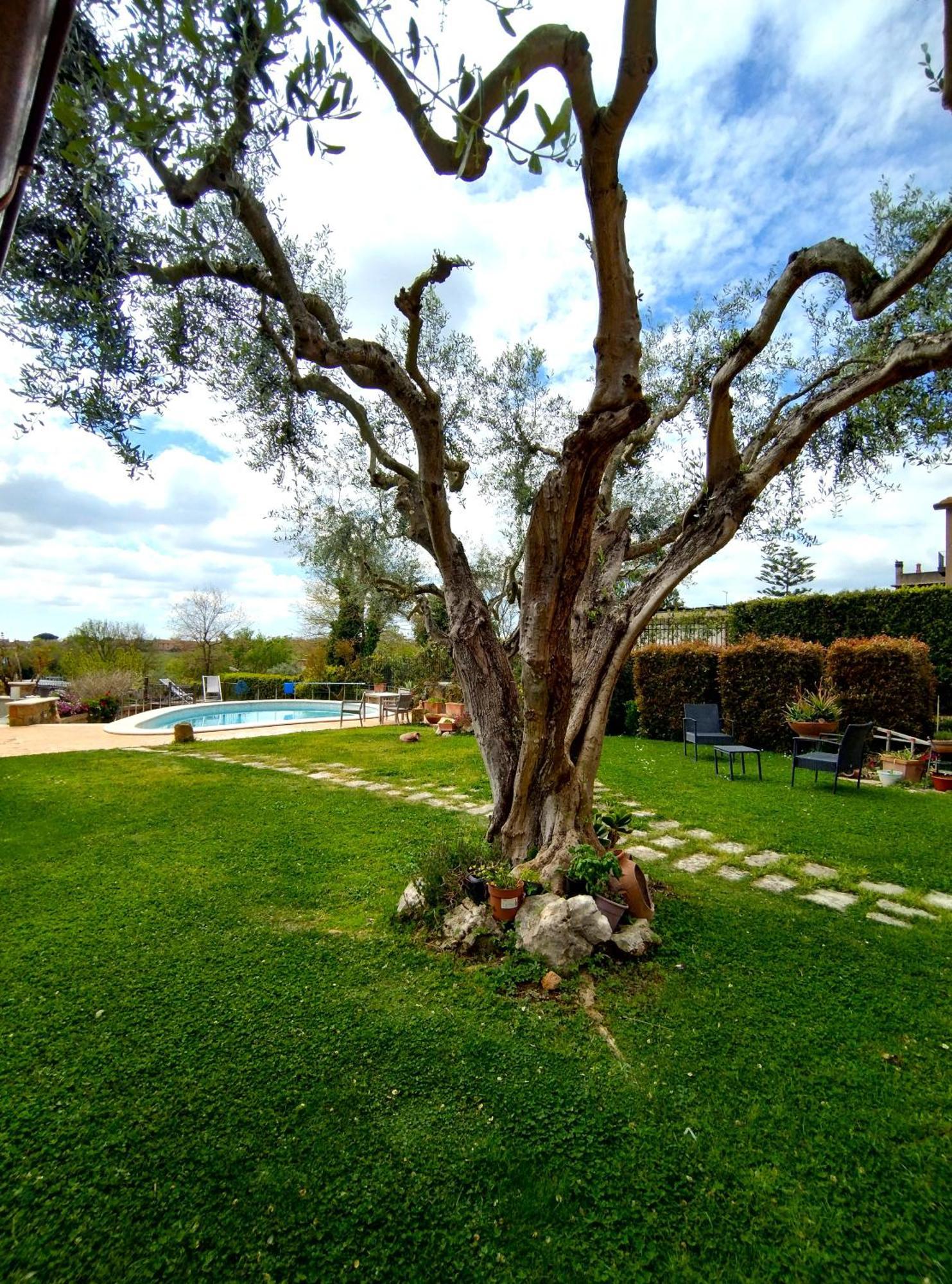La Valle Dei Casali Com Рим Екстериор снимка